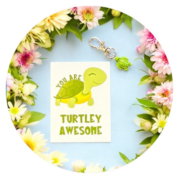 Hanger Turtley Awesome3