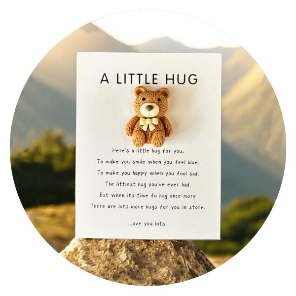 Pocket Hug Knuffelbeertje bruin1
