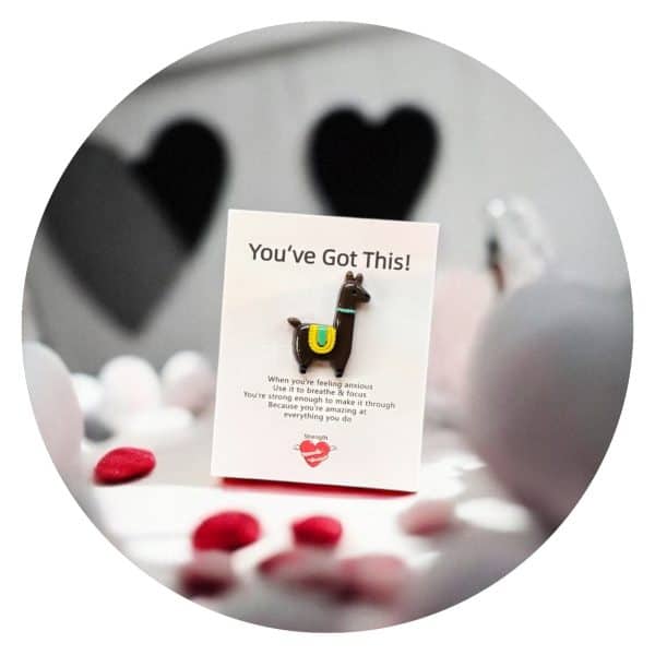 Pockethug Alpaca of Lama3