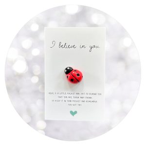 Pockethug Believe Lieveheersbeestje1