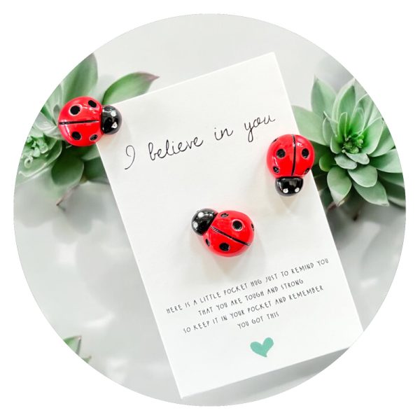Pockethug Believe Lieveheersbeestje2