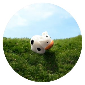 Pockethug Koe 3