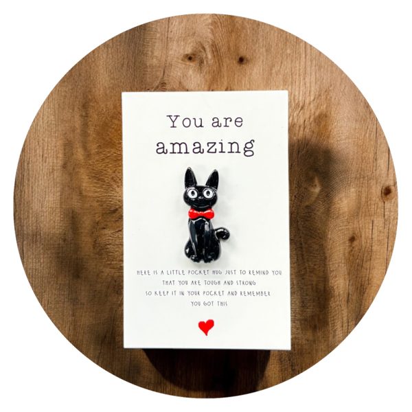 Pockethug Zwarte Kat 2