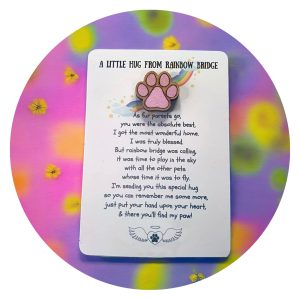 Pockethug | Rainbow Bridge