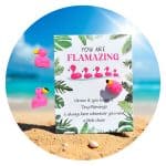 Pocket Hug Flamingo Flamazing