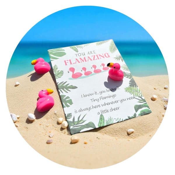 Pocket Hug Flamingo Flamazing