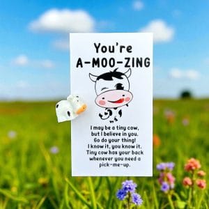 Pocket Hug Amoozing Koe