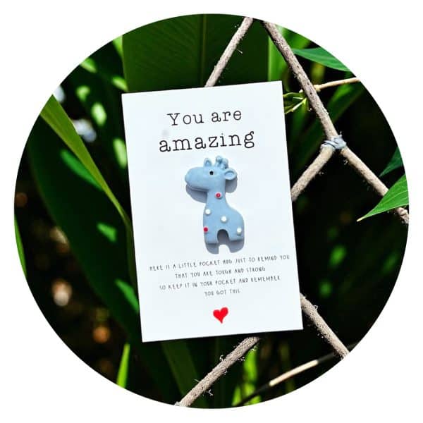 Pocket Hug Giraffe Amazing