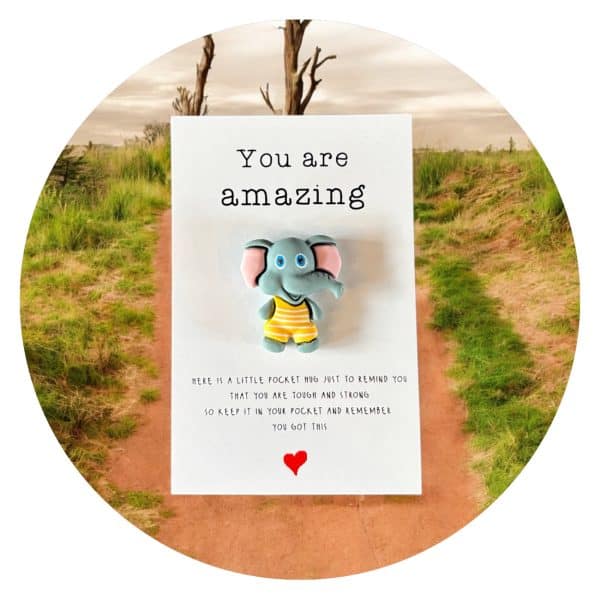 Pocket Hug Olifant Amazing