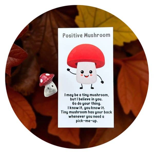 Pocket Hug Positive Mushroom