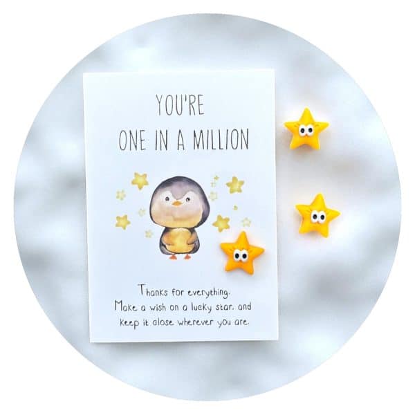 Pocket Hug Ster One in a million