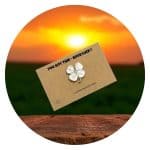 Pocket Hug You Got This Zilveren klaver