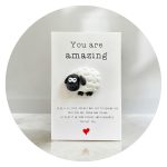 Pockethug Amazing Schaap