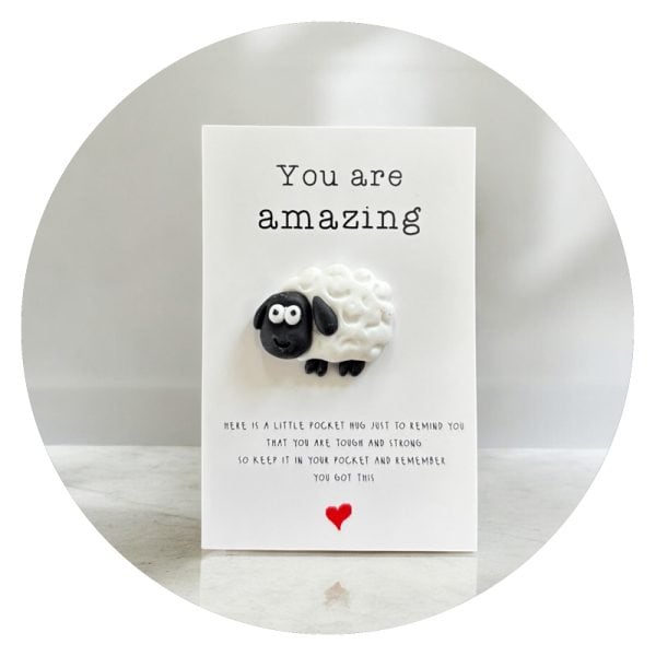 Pockethug Amazing Schaap