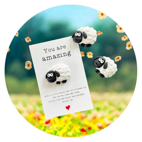 Pockethug Amazing Schaap