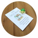 Pockethug Schildpad
