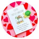 Pockethug Schildpad