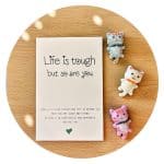 Pocket Hug Poesje Life is tough