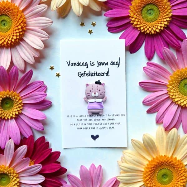 Pocket Hug Poesje 2 Gefeliciteerd