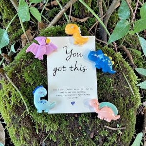 Pocket Hug You Got This Dino