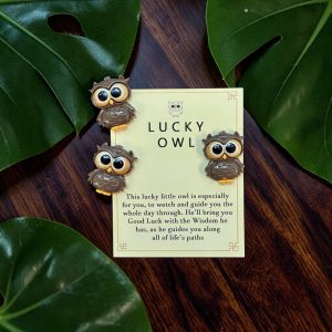 Pocket Hug Lucky Owl Geluksuiltje