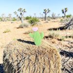 Pocket Hug Amazing Cactus