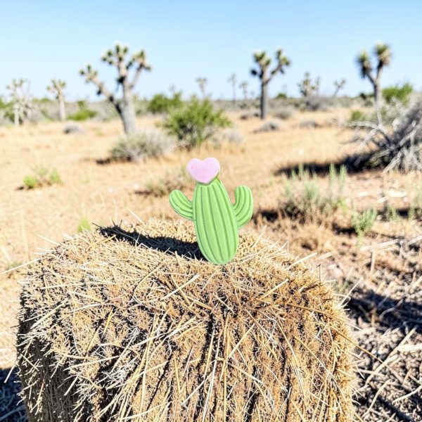 Pocket Hug Amazing Cactus