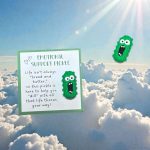 Pocket Hug Emotional Support Pickle Augurk