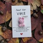 Pocket Hug Just for you - lieve diertjes