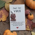 Pocket Hug Just for you - lieve diertjes