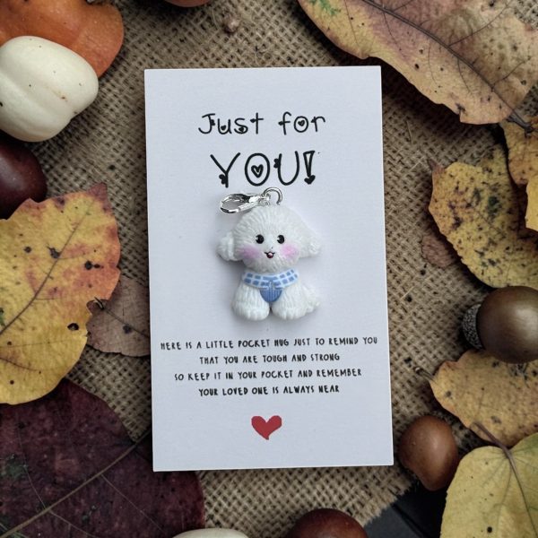 Pocket Hug Just for you - lieve diertjes