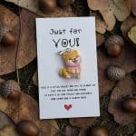 Pocket Hug Just for you - lieve diertjes