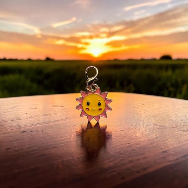 Pocket Hug Brighten your day Zonnetje2