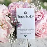 Pocket Hug Travel Buddy Haasje
