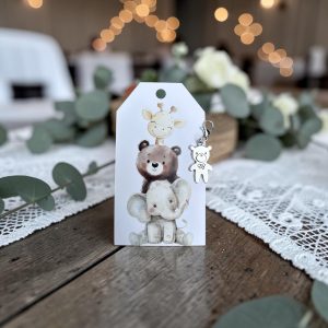 Pocket Hug Zilverkleurig Beertje