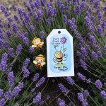 Pocket Hug Dont stress - Bijtje