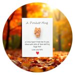 Pocket Hug Blije beestjes Beertje knipoog